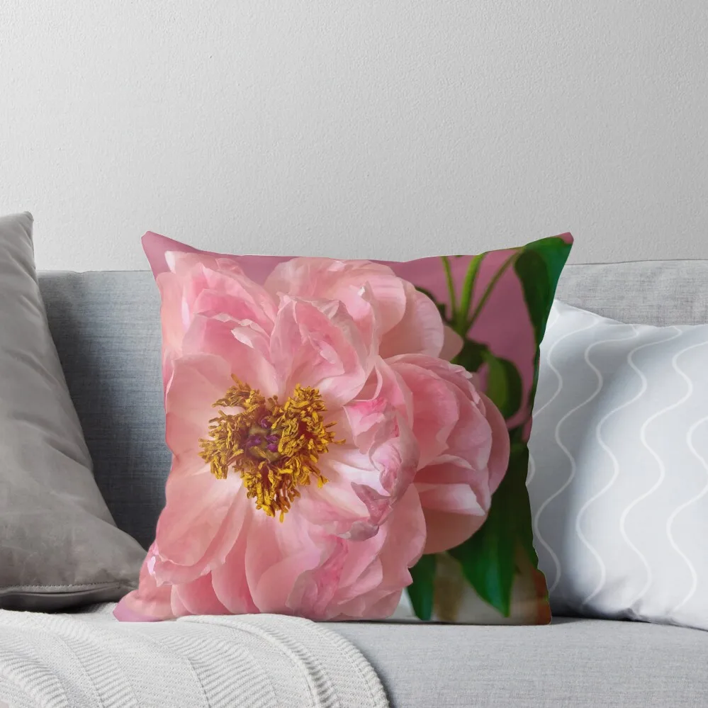 Pink Peony Throw Pillow autumn decoration christmas decorations for home 2025 Sofa Cover pillow
Pink Peony Throw Pillow autumn decoration christmas decorations for home 2025 Sofa Cover pillow