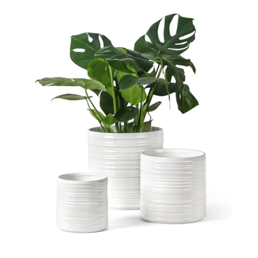 Ceramic Pots for Plants 10+8+6 Inch White Planter with Drainage Modern Striped Indoor/Outdoor Flower Pots for Succulents Herbs
Ceramic Pots for Plants 10+8+6 Inch White Planter with Drainage Modern Striped Indoor/Outdoor Flower Pots for Succulents Herbs