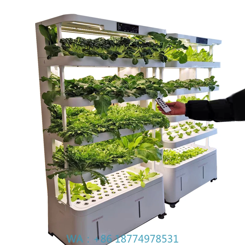 Гидропонная система выращивания, оборудование для фруктов и овощей, съемный пульт дистанционного управления для дома, умный многослойный вертикальный
Гидропонная система выращивания, оборудование для фруктов и овощей, съемный пульт дистанционного управления для дома, умный многослойный вертикальный