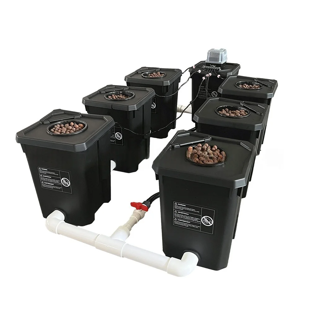 Custom 6-Bucket 27L rdwc Drip Irrigation Hydroponics System Indoor Plants Growing PP Garden Supplies
Custom 6-Bucket 27L rdwc Drip Irrigation Hydroponics System Indoor Plants Growing PP Garden Supplies