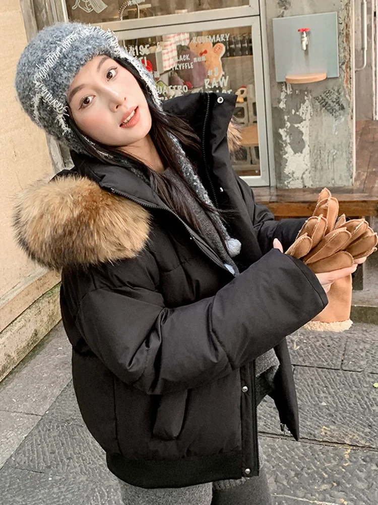 Women's down Cotton Jacket Short Thickened Loose Korean Style Bread Coat Ins Cotton Outerwear Winter New Arrival Simple Commute
Women's down Cotton Jacket Short Thickened Loose Korean Style Bread Coat Ins Cotton Outerwear Winter New Arrival Simple Commute