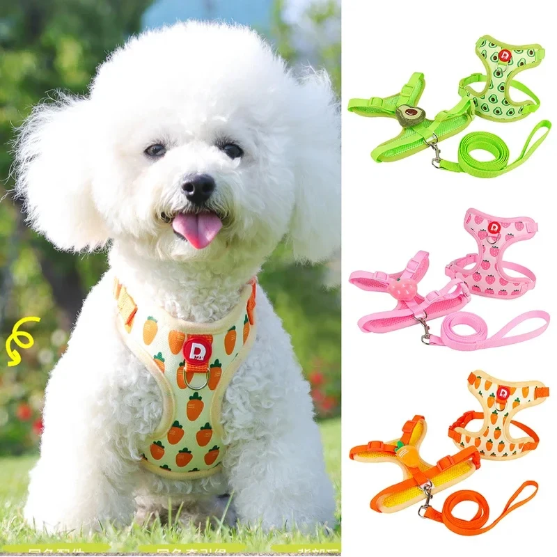 Cute Fruit Dog Cat Harness and Leash Set Adjustable Soft Breathable Mesh Puppy Vest for Small Medium Dogs
Cute Fruit Dog Cat Harness and Leash Set Adjustable Soft Breathable Mesh Puppy Vest for Small Medium Dogs