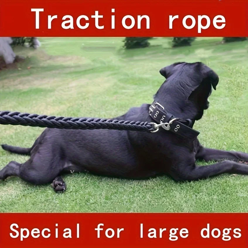 Comfort-Strong 5-Foot Braided Dog Leash: Ideal for Effective Training & Enjoyable Walks. Durability Meets Comfort
Comfort-Strong 5-Foot Braided Dog Leash: Ideal for Effective Training & Enjoyable Walks. Durability Meets Comfort