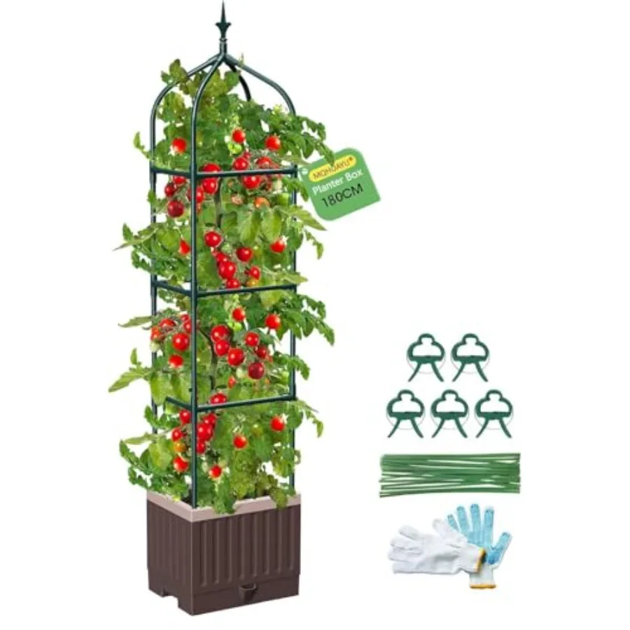Raised Garden Bed Planter Boxes with Trellis1pcs 70.9" Self-Watering Tomato Planter Boxes with Trellis for Climbing Vegetables
Raised Garden Bed Planter Boxes with Trellis1pcs 70.9" Self-Watering Tomato Planter Boxes with Trellis for Climbing Vegetables