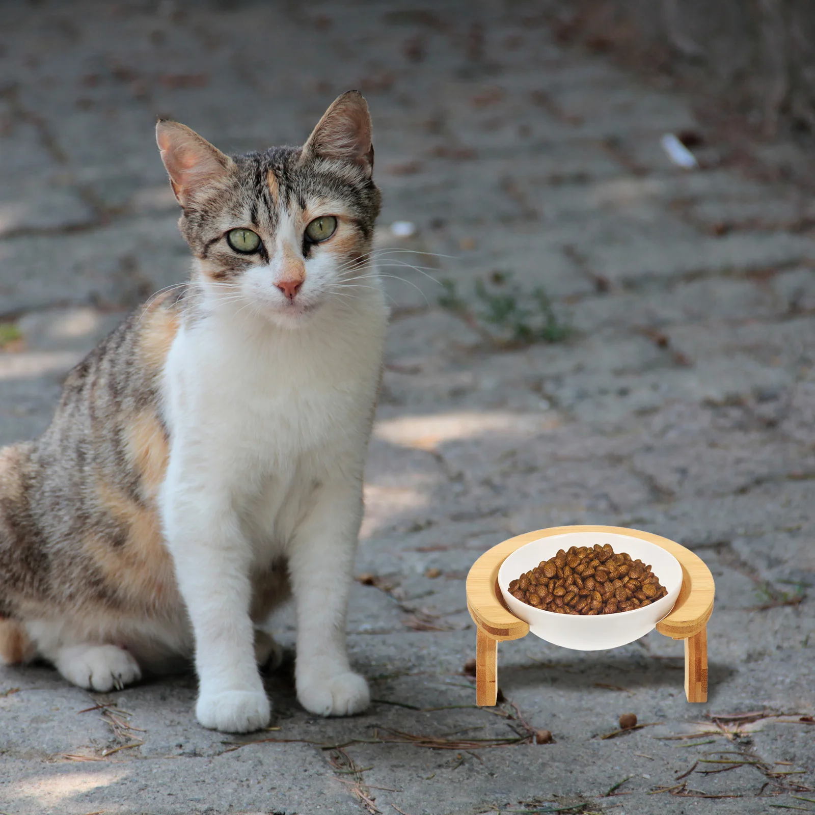 Ceramic Cat Bowl Reusable Feeding Raised Water Neck Protection Pet Feeder Elevated Bowls Large Capacity Easy Clean Smooth
Ceramic Cat Bowl Reusable Feeding Raised Water Neck Protection Pet Feeder Elevated Bowls Large Capacity Easy Clean Smooth