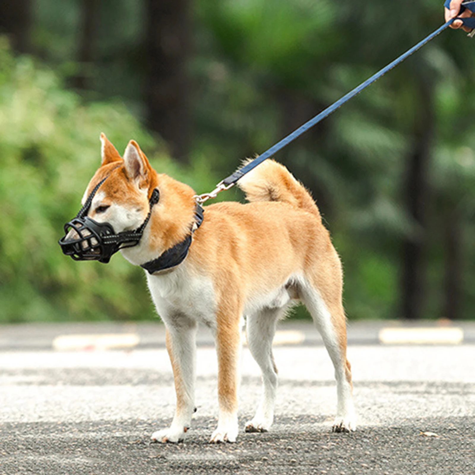 Dog Muzzle Breathable Comfortable Tpr Anti-Biting Adjustable Outdoor Protective Mouth Cover Mask Dog Muzzle Anti-Barking Mask
Dog Muzzle Breathable Comfortable Tpr Anti-Biting Adjustable Outdoor Protective Mouth Cover Mask Dog Muzzle Anti-Barking Mask