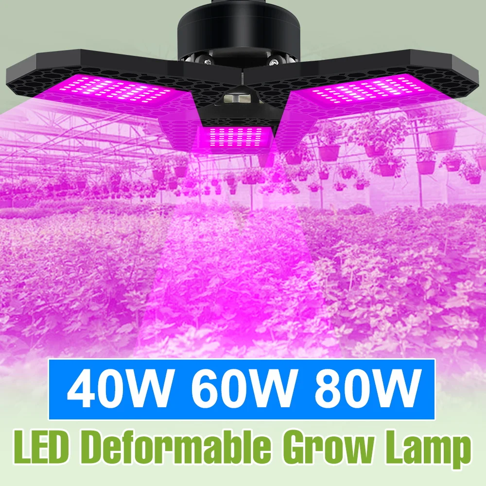 80W Full Spectrum E27 Foldable Plant Grow Light Bulb LED Hydroponics Cultivation Fill Lamp Greenhouse Tent Flowers Vegs Lighting
80W Full Spectrum E27 Foldable Plant Grow Light Bulb LED Hydroponics Cultivation Fill Lamp Greenhouse Tent Flowers Vegs Lighting