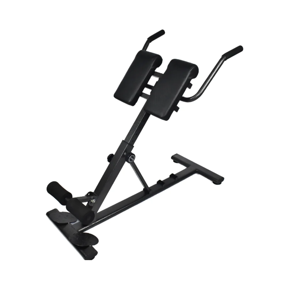 Adjustable Roman Chair for Abdominal Exercises Foldable Steel Frame Bench 120kg Capacity Custom Logo Safety Training for Homepro
Adjustable Roman Chair for Abdominal Exercises Foldable Steel Frame Bench 120kg Capacity Custom Logo Safety Training for Homepro
