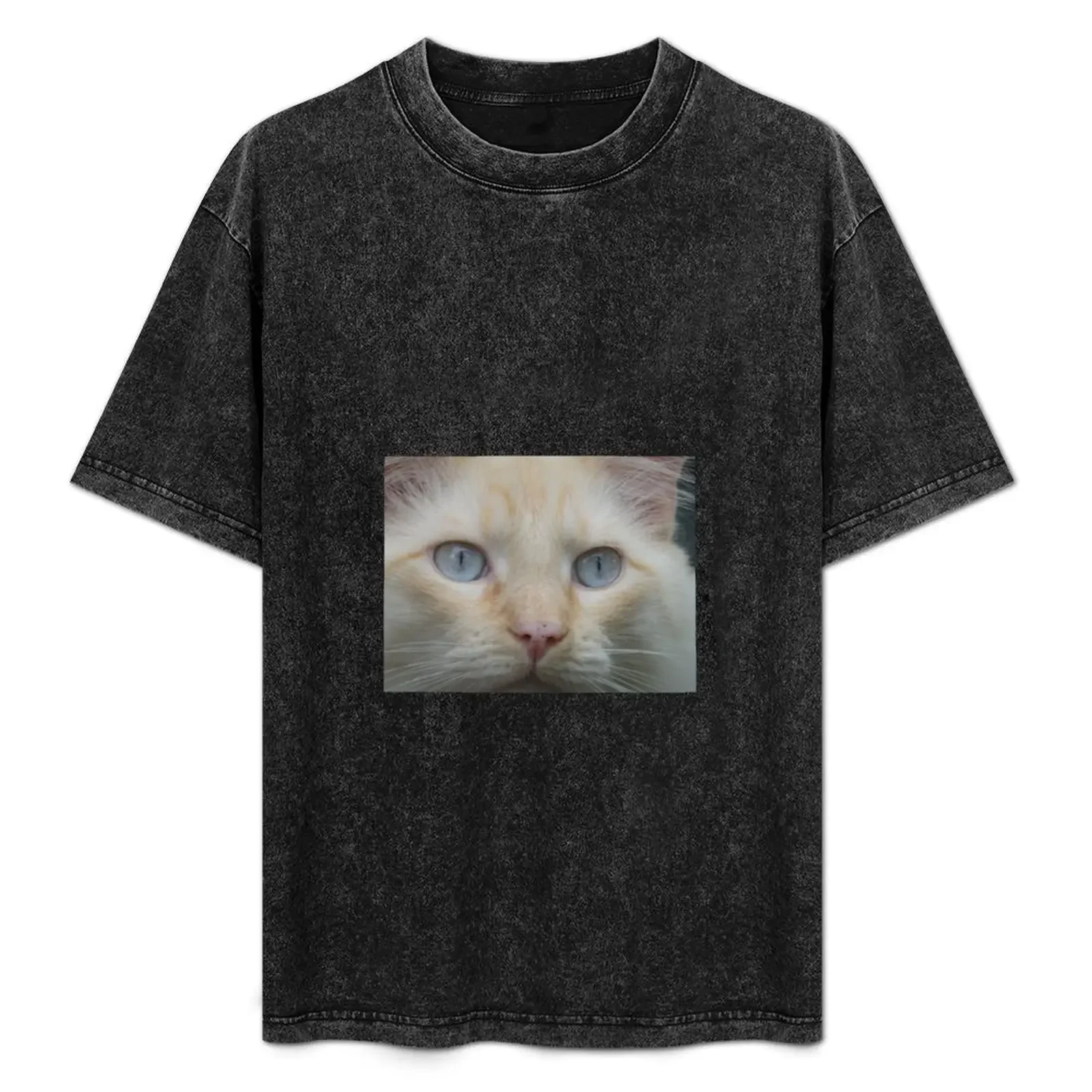Flame Point Siamese Cat T-Shirt anime stuff clothes funny costumes man t shirt T-shirt men
Flame Point Siamese Cat T-Shirt anime stuff clothes funny costumes man t shirt T-shirt men