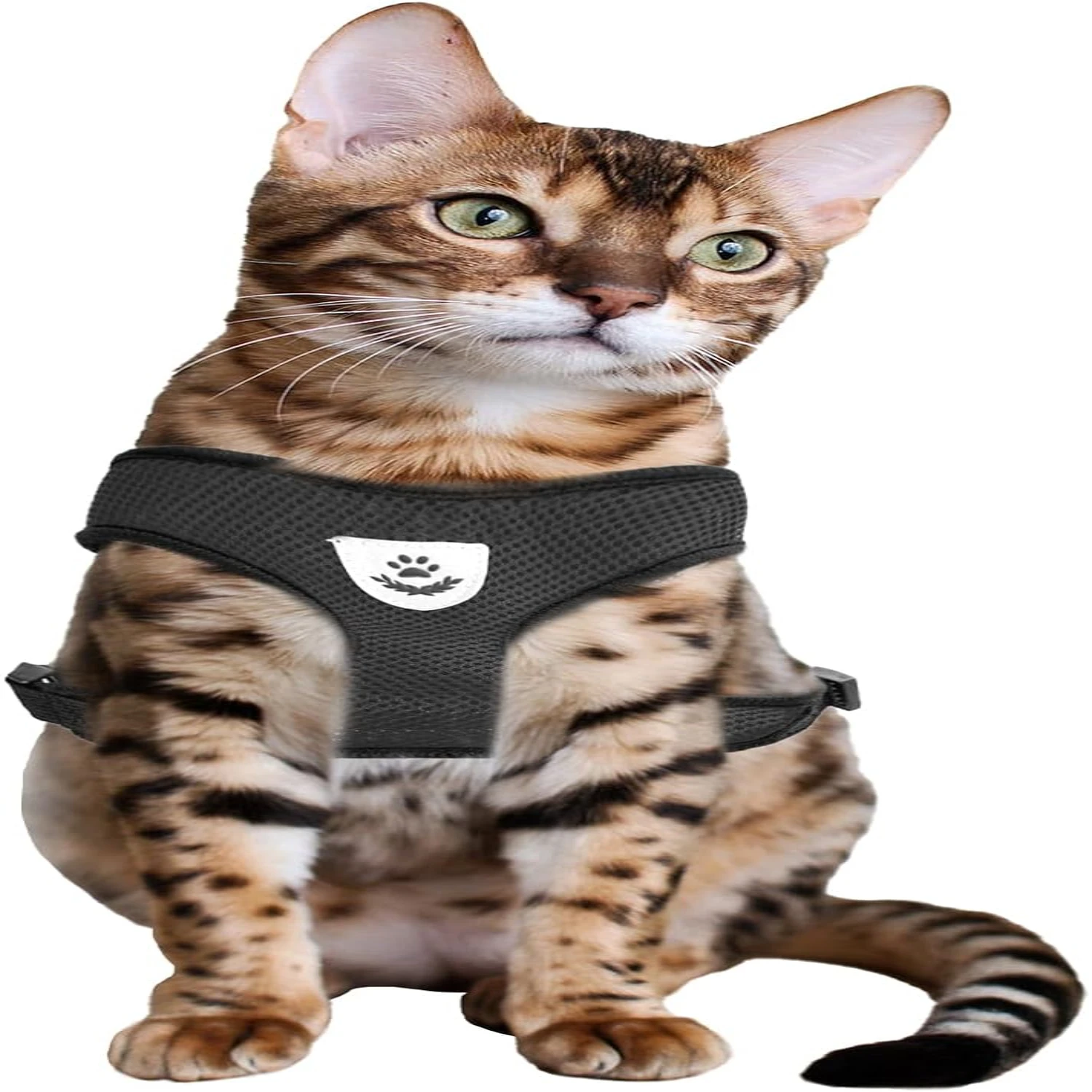 Adjustable, Secure, and Comfortable Mesh Cat Leash - Soft Anti-Escape Chest Harness Set with Extra Protection for Safety and Com
Adjustable, Secure, and Comfortable Mesh Cat Leash - Soft Anti-Escape Chest Harness Set with Extra Protection for Safety and Com