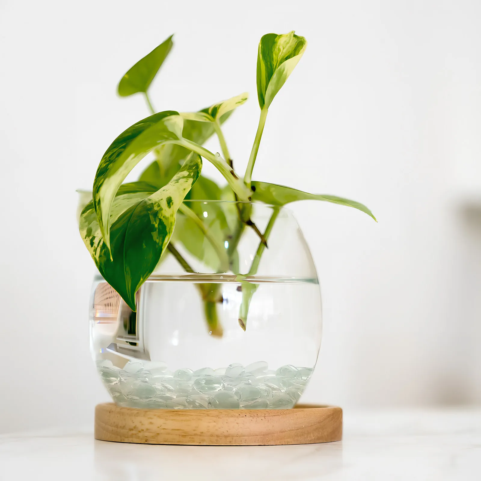 Набор из 1 упаковки стеклянных гальки, прозрачные плоские шарики, прочные прозрачные бусины, идеально подходят для наполнения ваз, декоративных композиций, использования в доме и саду
Набор из 1 упаковки стеклянных гальки, прозрачные плоские шарики, прочные прозрачные бусины, идеально подходят для наполнения ваз, декоративных композиций, использования в доме и саду