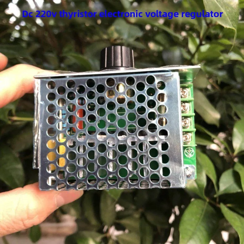 DC 220V SCR Electronic Voltage Regulator Motor Motor Governor Mini Rectifier Brushed Motor Controller
DC 220V SCR Electronic Voltage Regulator Motor Motor Governor Mini Rectifier Brushed Motor Controller