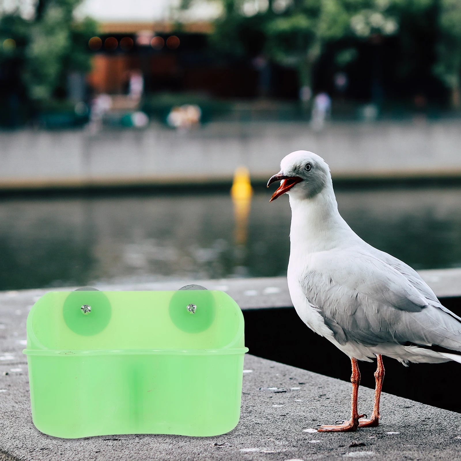 Bird Food Box Green Parrot Container Feeder Cage Cockatiels Plastic Durable Large Capacity Easy Install Bowls Pet Supplies Water 
Bird Food Box Green Parrot Container Feeder Cage Cockatiels Plastic Durable Large Capacity Easy Install Bowls Pet Supplies Water