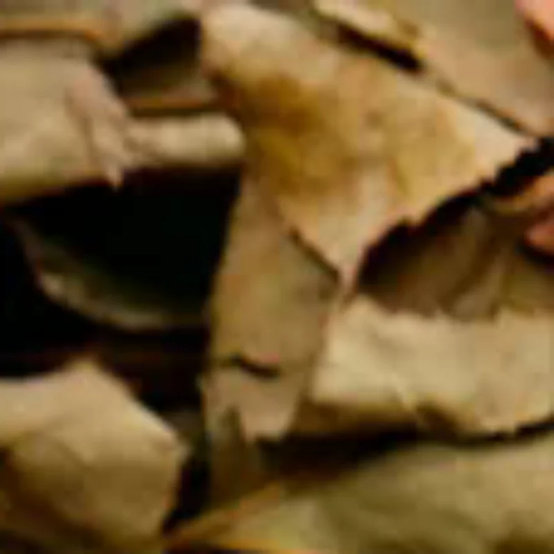 Мини-настольный календарь на год лошади на 2026 год, простой портативный ежемесячный календарь на катушке, планировщик для офиса и домашнего декора
Мини-настольный календарь на год лошади на 2026 год, простой портативный ежемесячный календарь на катушке, планировщик для офиса и домашнего декора