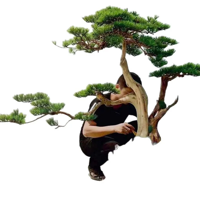 Simulated welcome pine indoor and outdoor decoration landscaping simulation large floor ornament
Simulated welcome pine indoor and outdoor decoration landscaping simulation large floor ornament