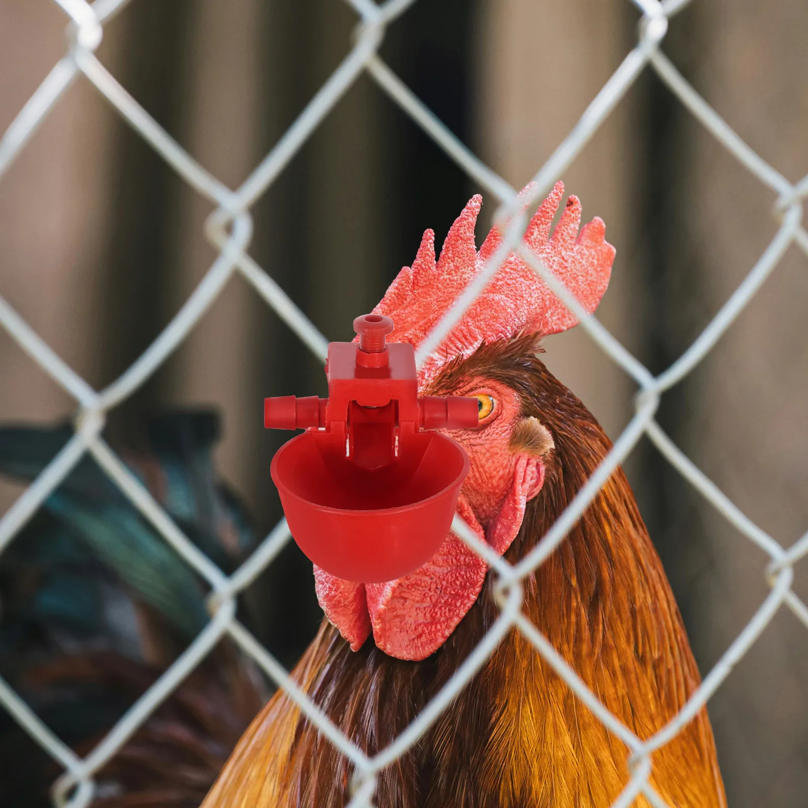20pcs Chick Waterer Automatic Fountain Cup Durable Plastic Chicken Drinkers Pigeon Quail Pets Farm Use Red Color
20pcs Chick Waterer Automatic Fountain Cup Durable Plastic Chicken Drinkers Pigeon Quail Pets Farm Use Red Color