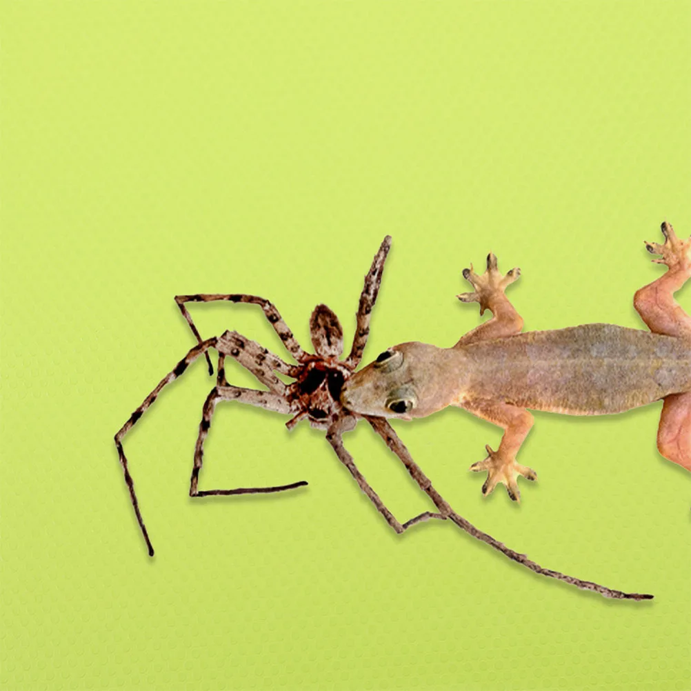 Reptile Carpet For Lizard Gecko Turtle Terrarium Substrate Mat Easy Clean Bedding Liner Reptile Cage Accessories Eva
Reptile Carpet For Lizard Gecko Turtle Terrarium Substrate Mat Easy Clean Bedding Liner Reptile Cage Accessories Eva