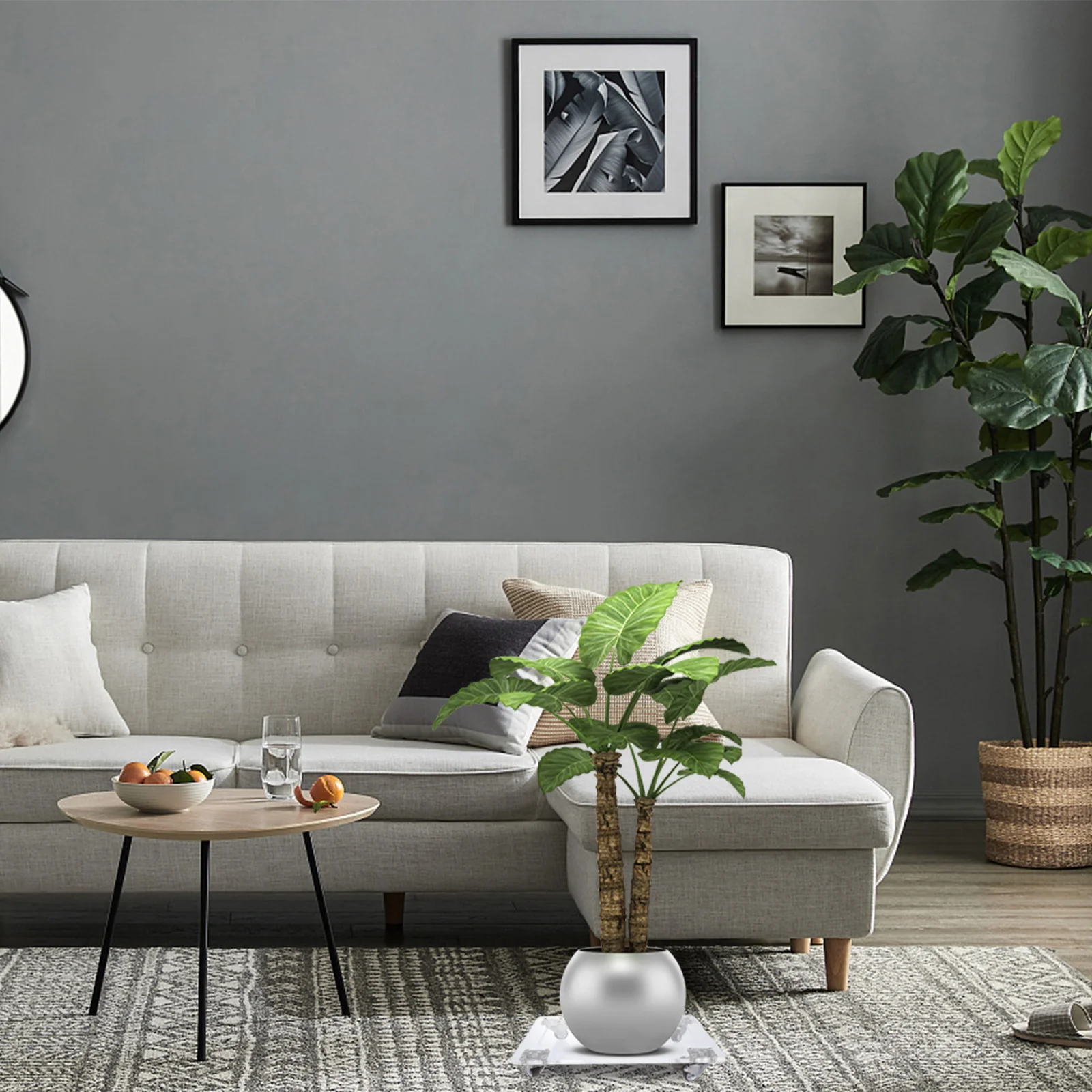 1Pcs Moveable Flowerpot Holder Tray Square Acrylic Plant Pot Support Base Tray with Mute Wheels Square Design Flowerpot Base
1Pcs Moveable Flowerpot Holder Tray Square Acrylic Plant Pot Support Base Tray with Mute Wheels Square Design Flowerpot Base