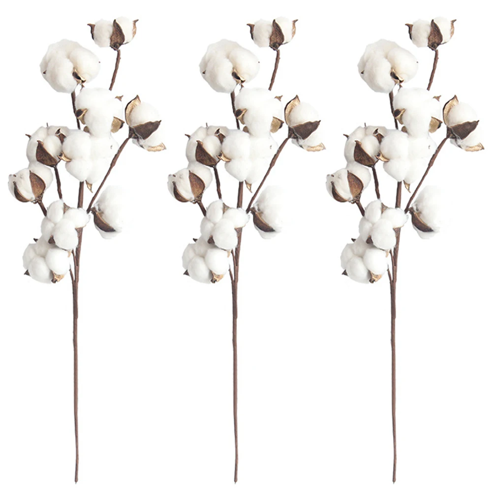 3 Pcs Dried Cotton Stems Handmade Artificial Flowers Vase Filler Fall Plant Home Wedding Decor Adjust Direction Simulation
3 Pcs Dried Cotton Stems Handmade Artificial Flowers Vase Filler Fall Plant Home Wedding Decor Adjust Direction Simulation