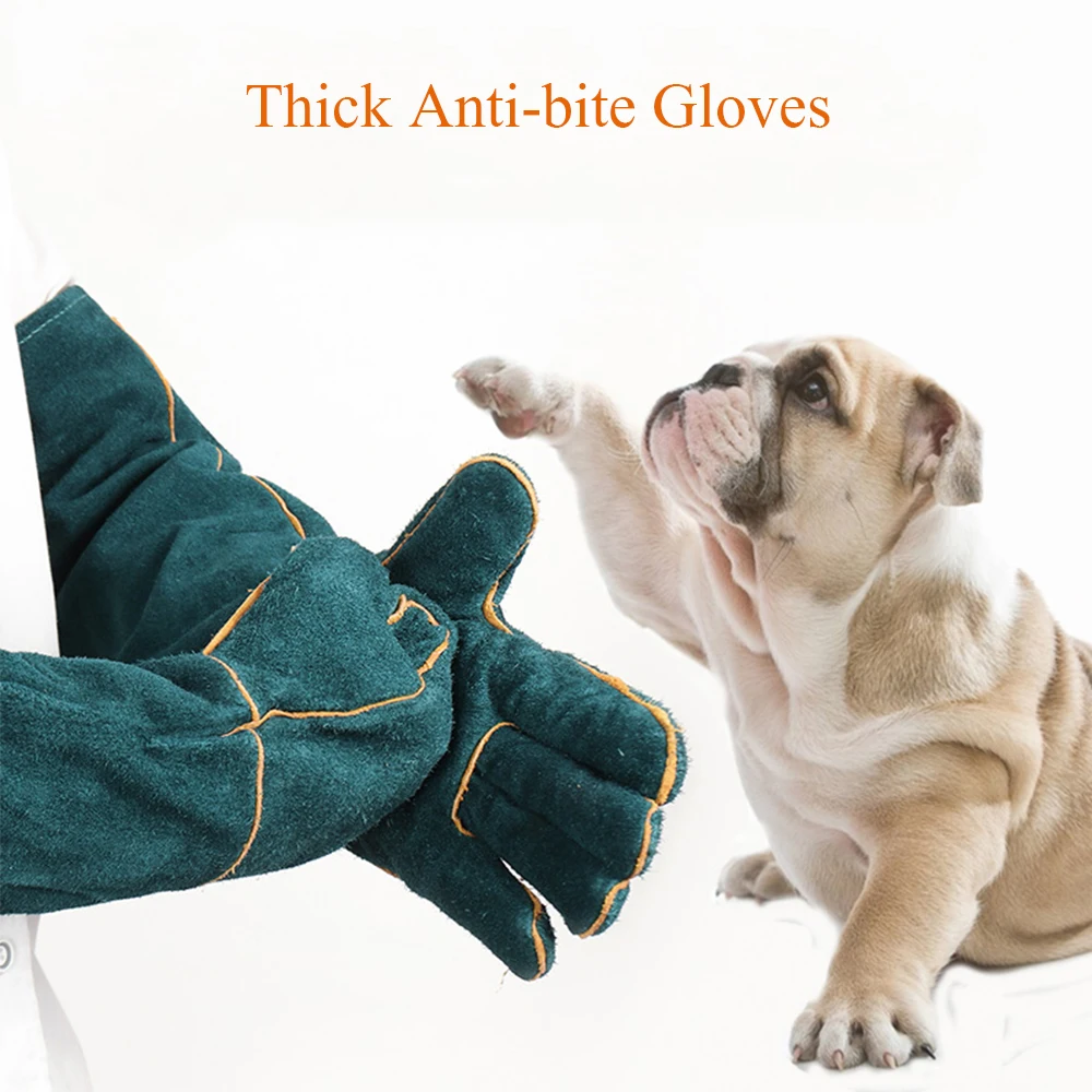 Thick Cowhide Anti-bite Anti-scratch Safty Protection Gloves For Dog Cat For Home Pet Hospital Shop Train Feed Pet Gloves 46cm
Thick Cowhide Anti-bite Anti-scratch Safty Protection Gloves For Dog Cat For Home Pet Hospital Shop Train Feed Pet Gloves 46cm