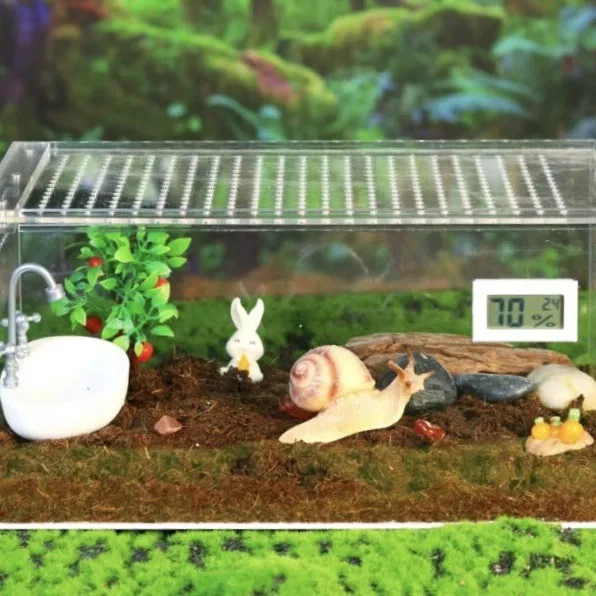 Прозрачная акриловая коробка для восхождения, дворцовая гвардия, ящерица, рогатая лягушка, черепаха, коробка для кормления, двухтактная дышащая коробка для кормления
Прозрачная акриловая коробка для восхождения, дворцовая гвардия, ящерица, рогатая лягушка, черепаха, коробка для кормления, двухтактная дышащая коробка для кормления