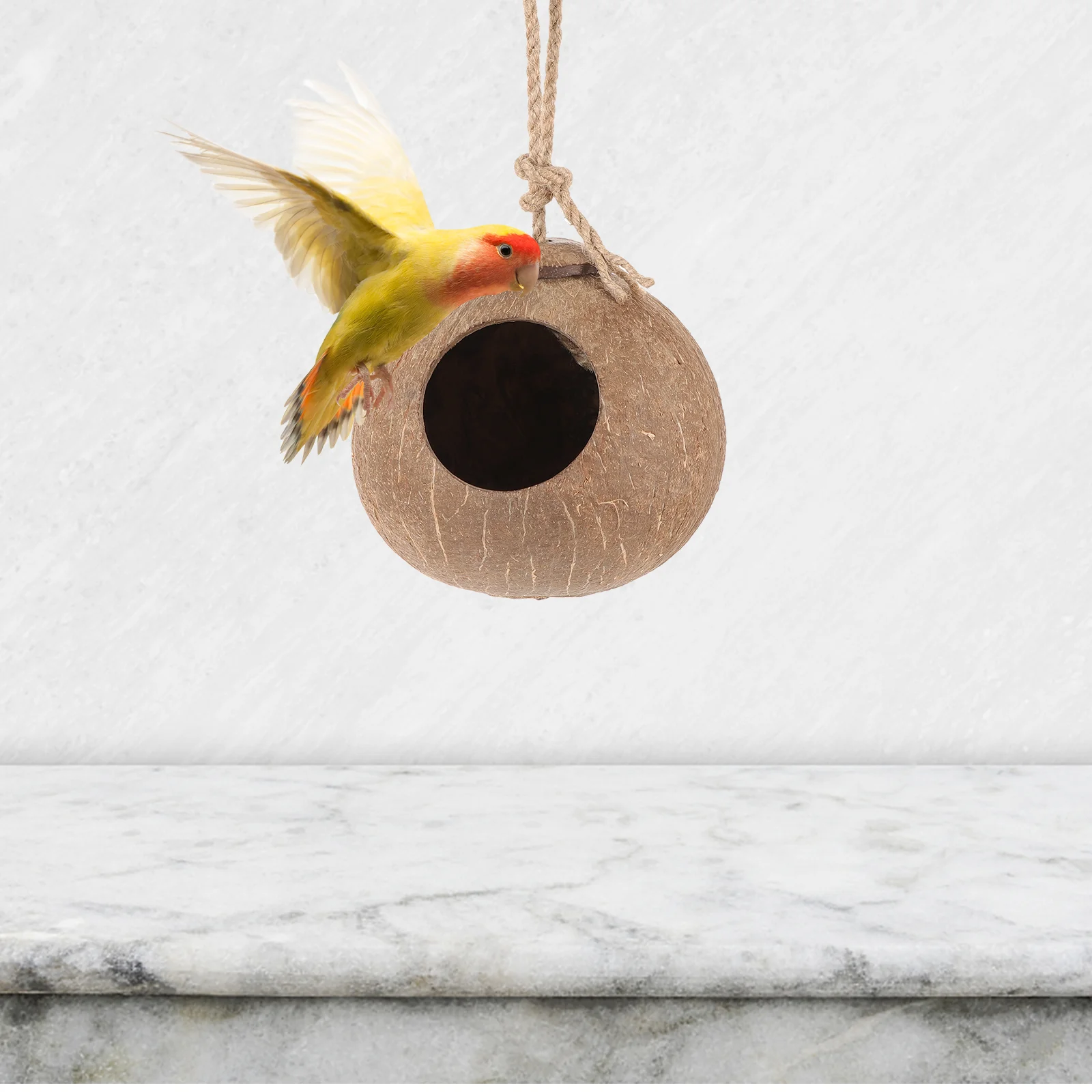 Coconut Shell Nest Toy Bird Chicken Toys Natural Decorative Birdcage Sleeping House Hanging Outdoor
Coconut Shell Nest Toy Bird Chicken Toys Natural Decorative Birdcage Sleeping House Hanging Outdoor
