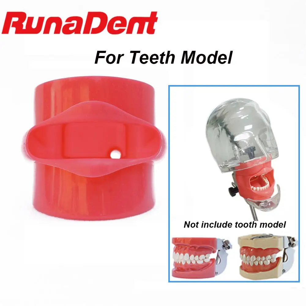 Dental Training Student Practicing Phantom Head Teeth Model Silicone Mask Teaching
Dental Training Student Practicing Phantom Head Teeth Model Silicone Mask Teaching