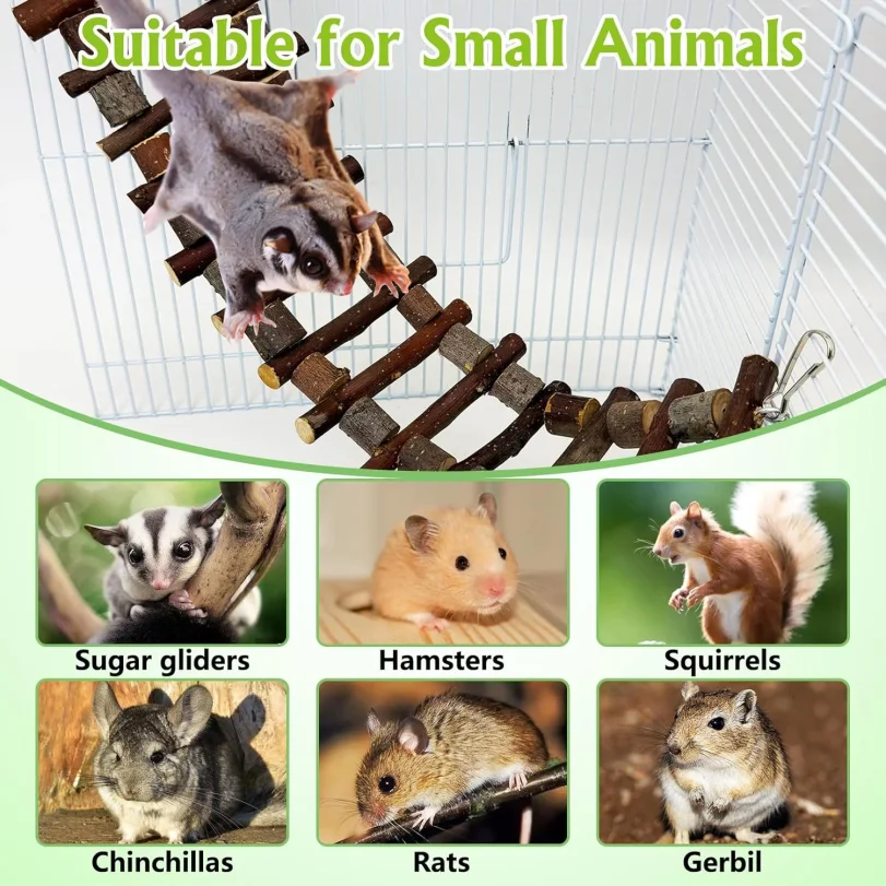 Hamster cage hanging ladder toys, swings, and climbing platform toys, suitable for cages for hamsters, sugar gliders, and birds.
Hamster cage hanging ladder toys, swings, and climbing platform toys, suitable for cages for hamsters, sugar gliders, and birds.