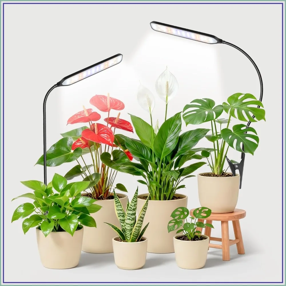 Full Spectrum Grow Light with Timer 6/12/16Hrs, 3 Spectrums & 5 Dimmable, Clip & Gooseneck for Indoor Plants, 2Pack
Full Spectrum Grow Light with Timer 6/12/16Hrs, 3 Spectrums & 5 Dimmable, Clip & Gooseneck for Indoor Plants, 2Pack