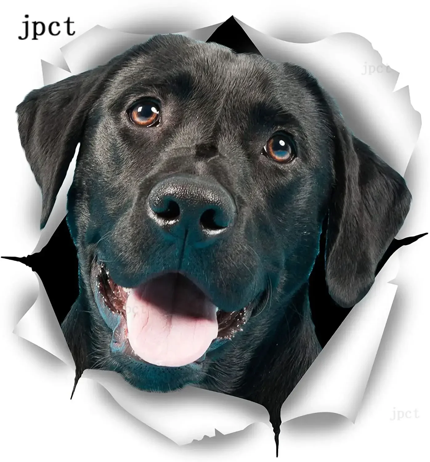 12cm * 9cm black labrador dog pattern, car, laptop, trunk, motorcycle, auto parts, PVC waterproof sticker, anti scratch
12cm * 9cm black labrador dog pattern, car, laptop, trunk, motorcycle, auto parts, PVC waterproof sticker, anti scratch
