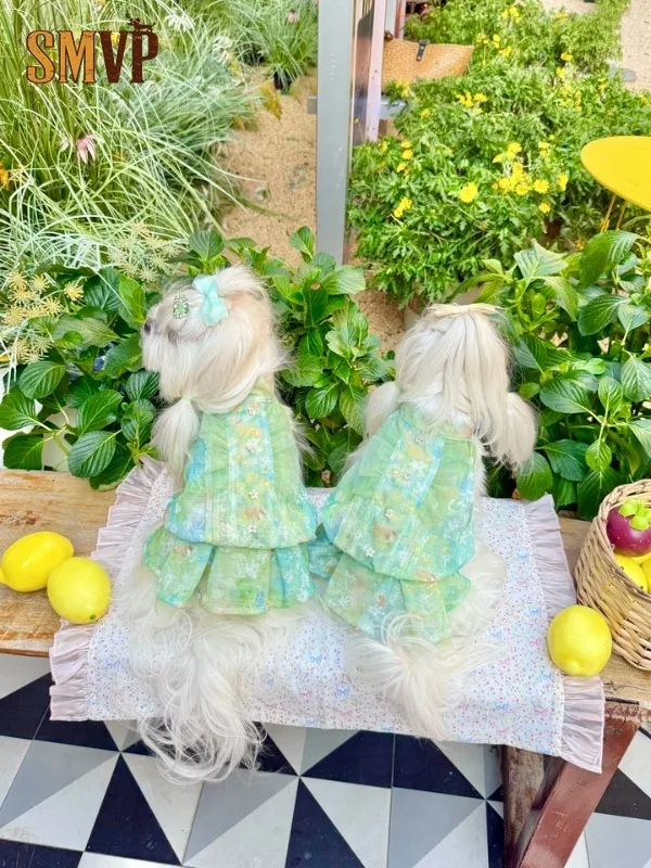 Watercolor Floral Forest Style Puppy Stand Collar Gown Ruffle Lace Tulle Layered Lightweight Pet Summer Dress Pet Clothes
Watercolor Floral Forest Style Puppy Stand Collar Gown Ruffle Lace Tulle Layered Lightweight Pet Summer Dress Pet Clothes