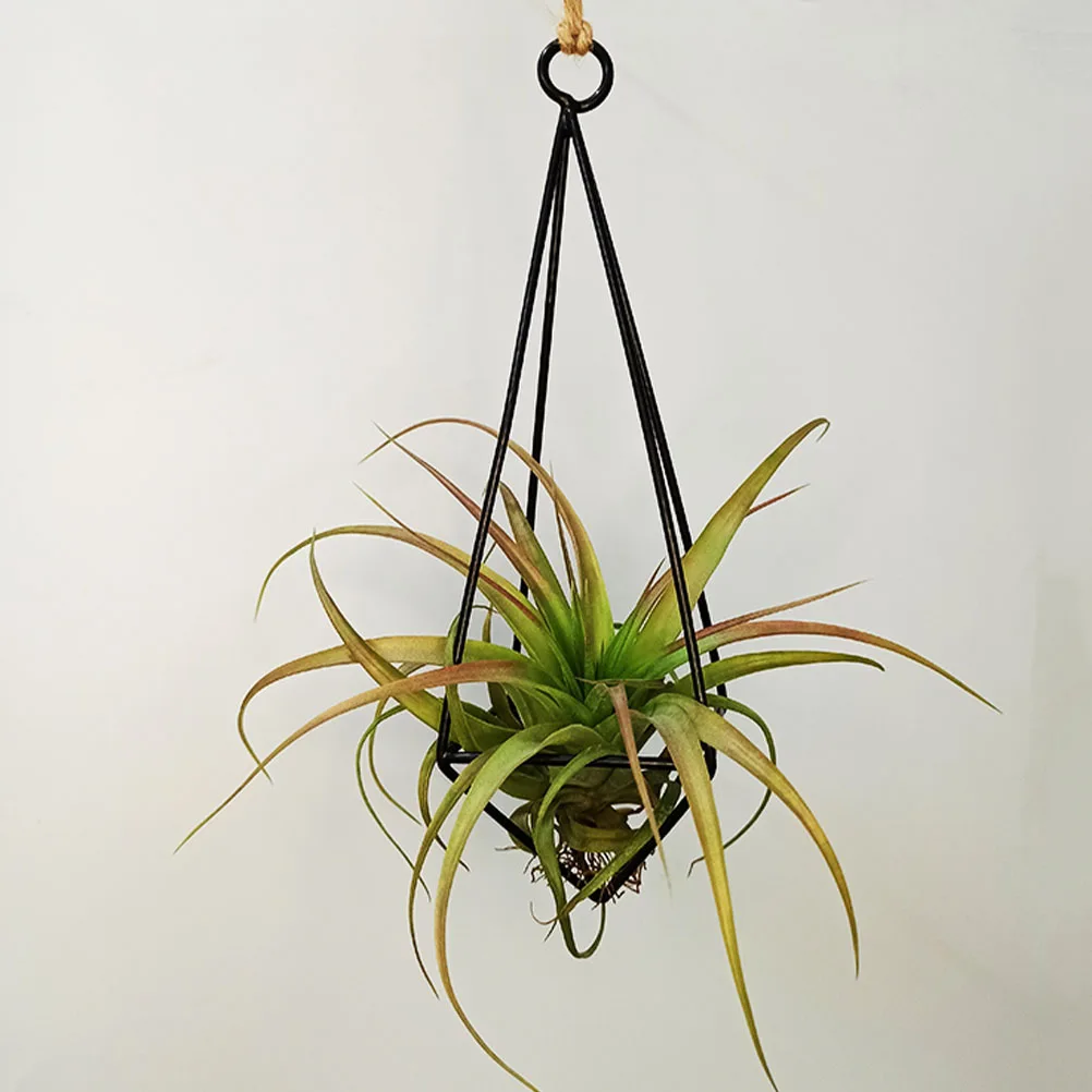1pc Hanging Iron Stand Black Metal Planter Rack Durable Simple Design Home Decor Plant Storage Flower Display Rack Display
1pc Hanging Iron Stand Black Metal Planter Rack Durable Simple Design Home Decor Plant Storage Flower Display Rack Display