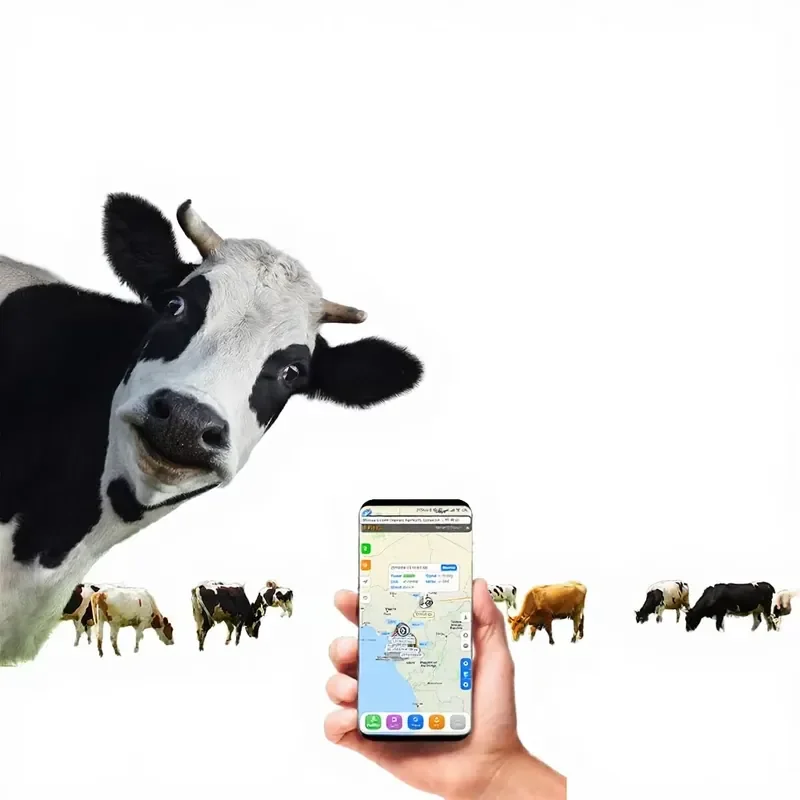 4G livestock GPS tracker, anti-theft and waterproof solar panel self-charging locator, suitable for cattle, sheep and horse
4G livestock GPS tracker, anti-theft and waterproof solar panel self-charging locator, suitable for cattle, sheep and horse