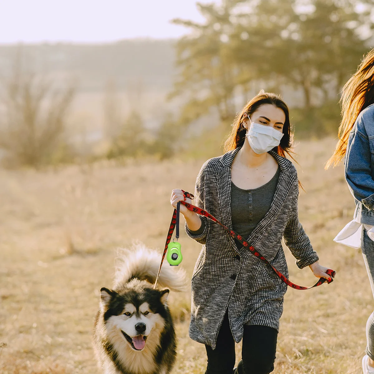 1Pcs Training Clicker Pet Sound Trainer Button Click Whistle for Dog Puppy Cat Obedience Agility Pet Training Clicker
1Pcs Training Clicker Pet Sound Trainer Button Click Whistle for Dog Puppy Cat Obedience Agility Pet Training Clicker