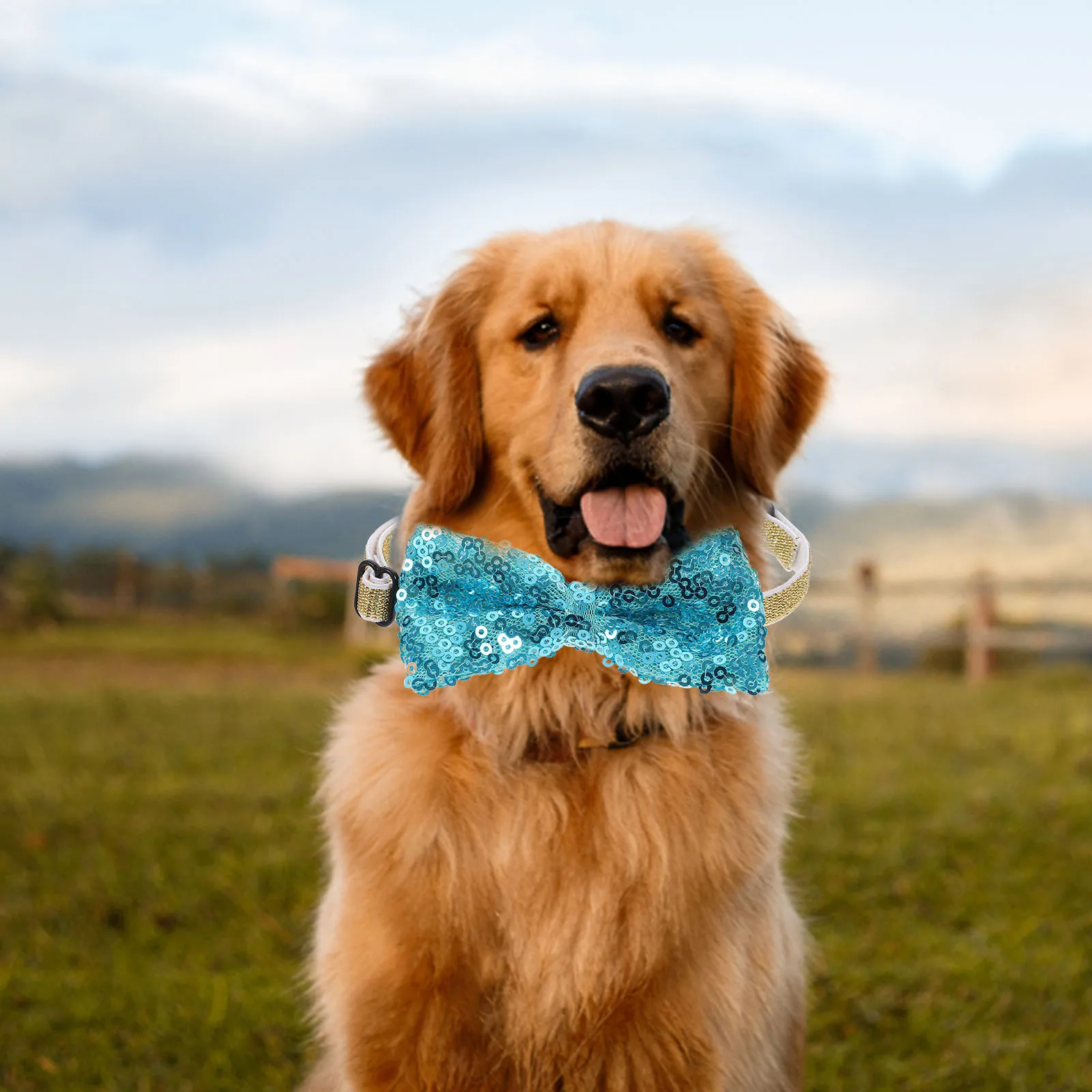 Pet Birthday Cap Set Shining Balloons Party Decorations Neckerchief Dog Birthday Supplies Party Balloon Pet Neckerchief
Pet Birthday Cap Set Shining Balloons Party Decorations Neckerchief Dog Birthday Supplies Party Balloon Pet Neckerchief