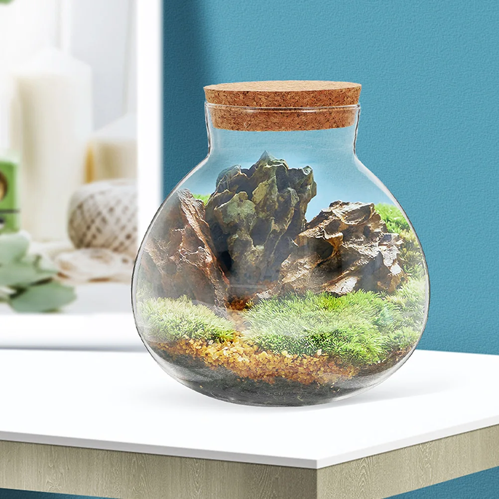 3 Pcs Glass Terrarium 13cm Sealed Jar for Moss Crafts schaft Empty Bottle Home Decor Plant Mini L Container
3 Pcs Glass Terrarium 13cm Sealed Jar for Moss Crafts schaft Empty Bottle Home Decor Plant Mini L Container