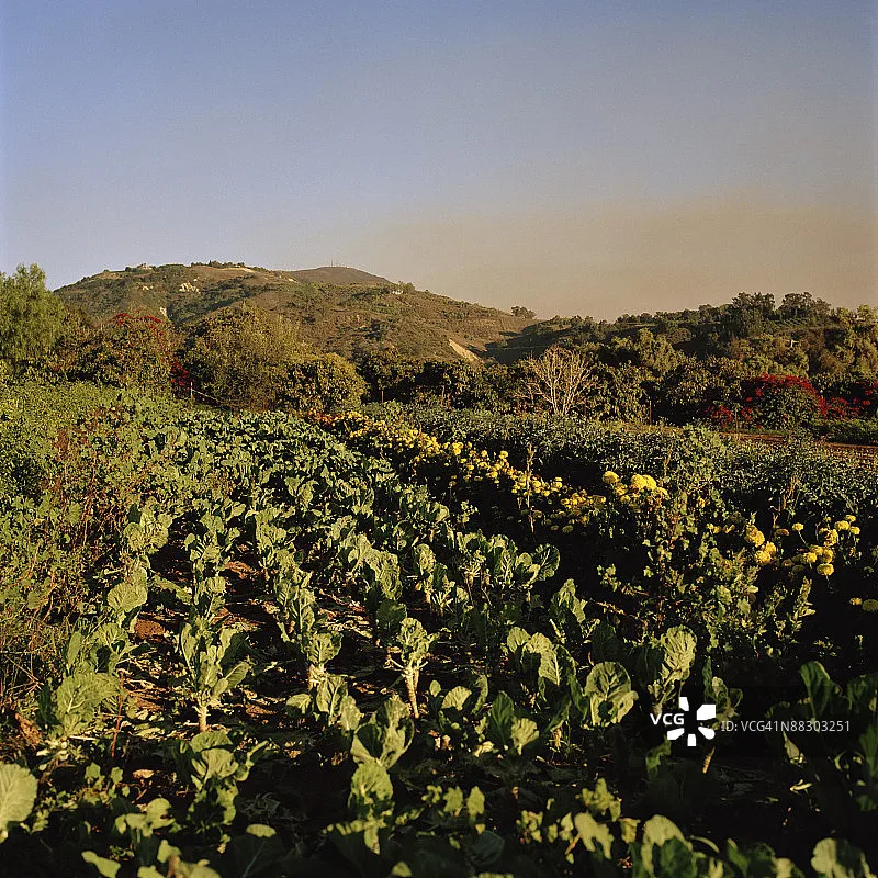 Flywoo F722 Pro Mini V2 45A Stack - 20x20 32Bit AM32 DShot1200 Plug&Play for O4 Pro FPV Replacement Accessory
Flywoo F722 Pro Mini V2 45A Stack - 20x20 32Bit AM32 DShot1200 Plug&Play for O4 Pro FPV Replacement Accessory