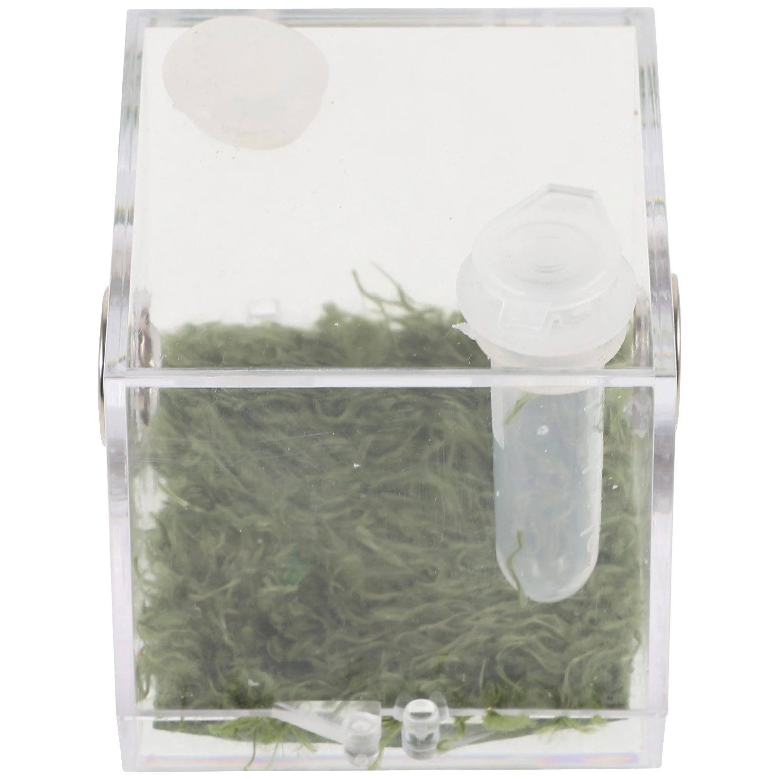 Acrylic Jumping Spider Breeding Box Transparent Insect Container Terrarium Reptile Case Habitat Accessories Pet Display Box
Acrylic Jumping Spider Breeding Box Transparent Insect Container Terrarium Reptile Case Habitat Accessories Pet Display Box