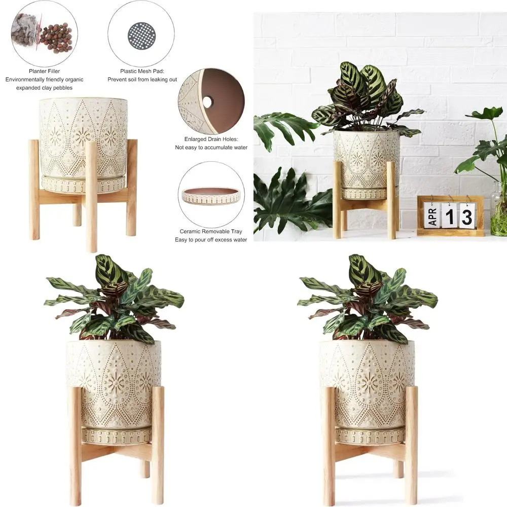 8 Inch Pot with Stand, Drainage Holes, Saucers, and Mesh Pads for Indoor-Outdoor Plants
8 Inch Pot with Stand, Drainage Holes, Saucers, and Mesh Pads for Indoor-Outdoor Plants