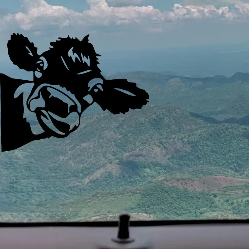 1 шт. забавные водонепроницаемые наклейки с изображением коровы, белые виниловые наклейки для автомобильных окон, ноутбуков и декора фермы
1 шт. забавные водонепроницаемые наклейки с изображением коровы, белые виниловые наклейки для автомобильных окон, ноутбуков и декора фермы