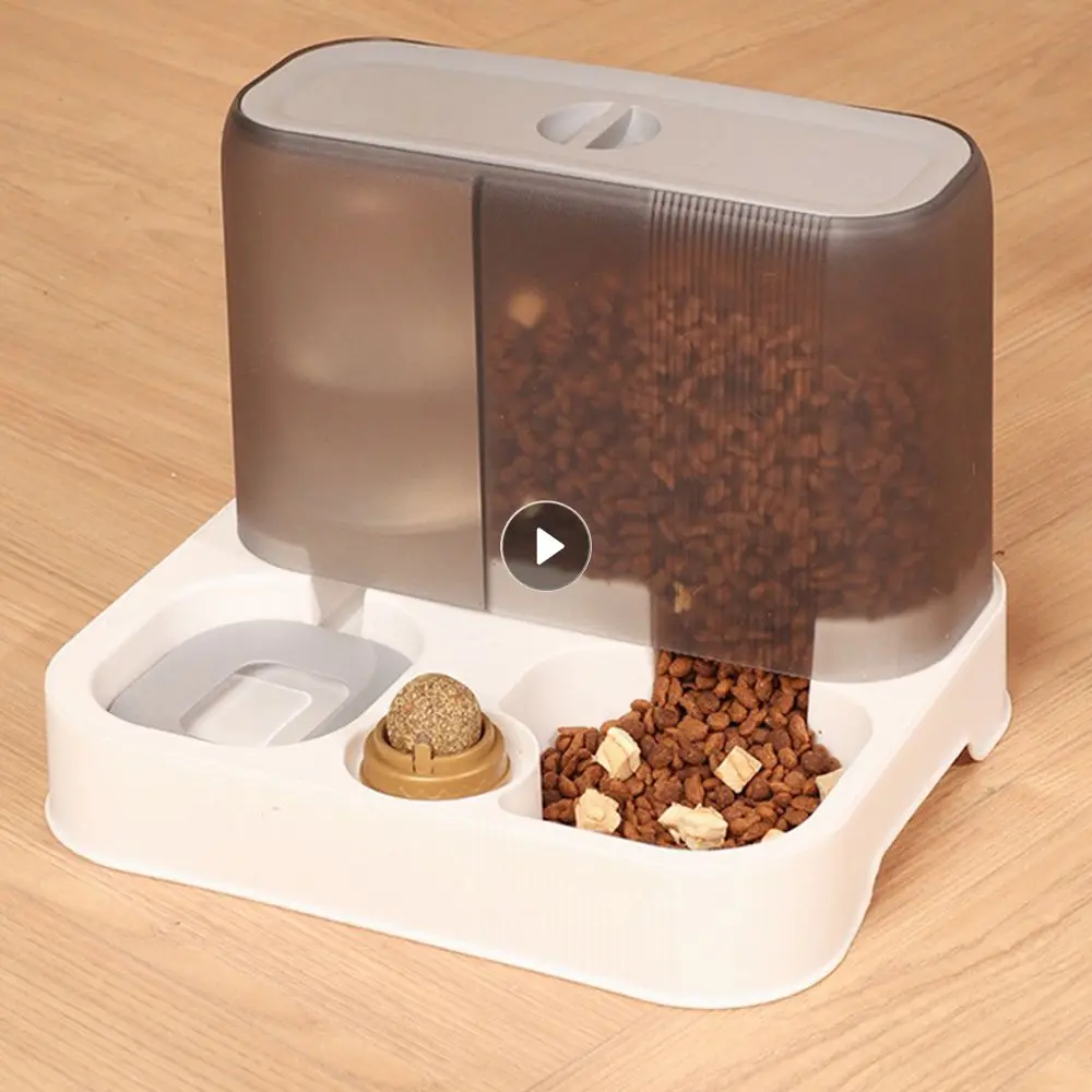 Cat Food Bowl Large Capacity Moisture-proof 2 In 1 Pet Supplies Cat Food Dispenser Automatic Cat Feeder
Cat Food Bowl Large Capacity Moisture-proof 2 In 1 Pet Supplies Cat Food Dispenser Automatic Cat Feeder