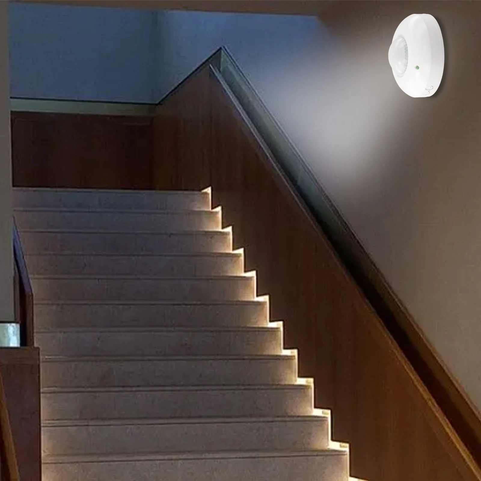 Датчик движения на 360 градусов ° Датчик движения PIR для управления энергией Простая установка Высококачественные материалы
Датчик движения на 360 градусов ° Датчик движения PIR для управления энергией Простая установка Высококачественные материалы