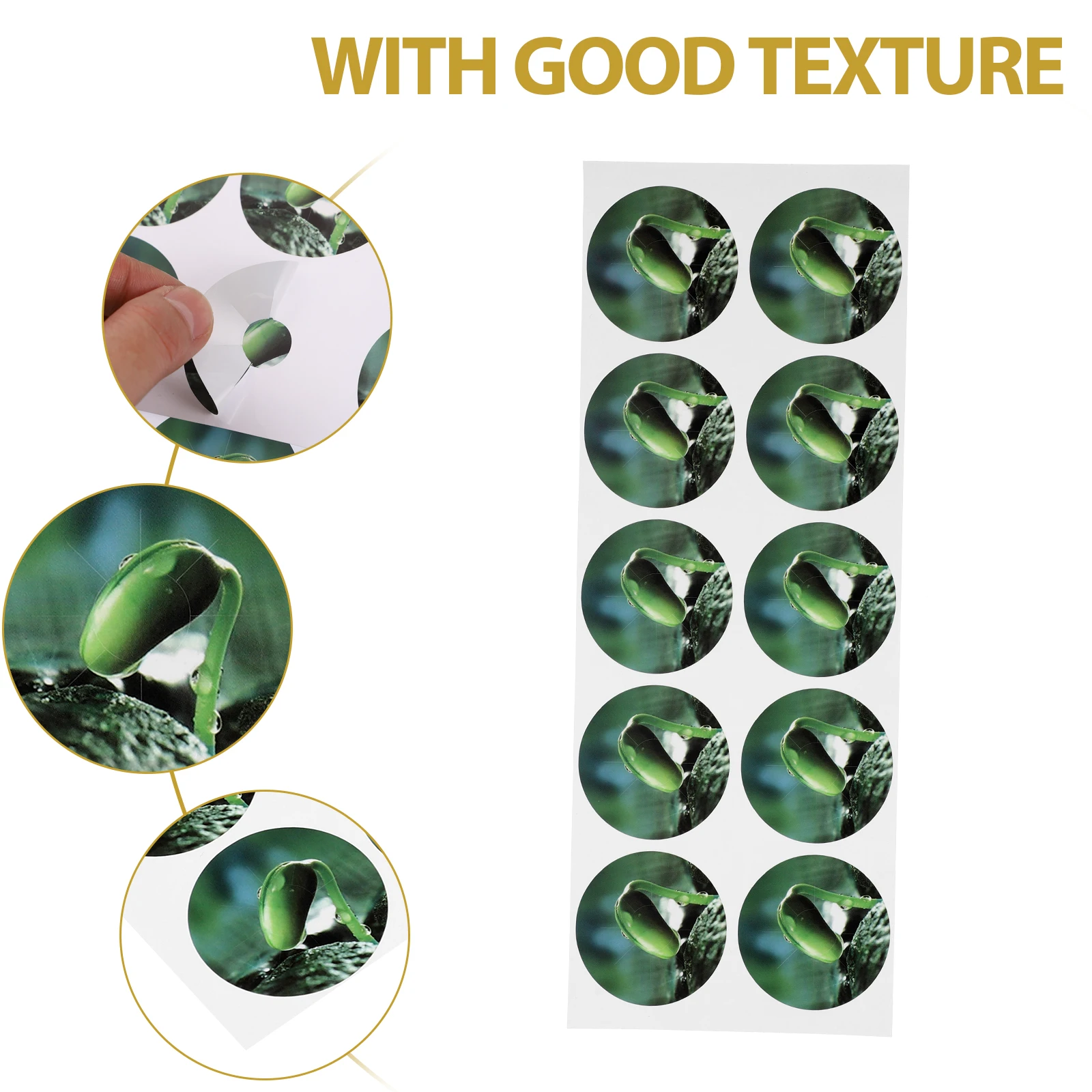 5 Sheets 50 Stickers Soilless Cultivation Growing Basket Moss-proof PVC Labels Seed Pot Hydroponic Planting Supplies Gardening
5 Sheets 50 Stickers Soilless Cultivation Growing Basket Moss-proof PVC Labels Seed Pot Hydroponic Planting Supplies Gardening