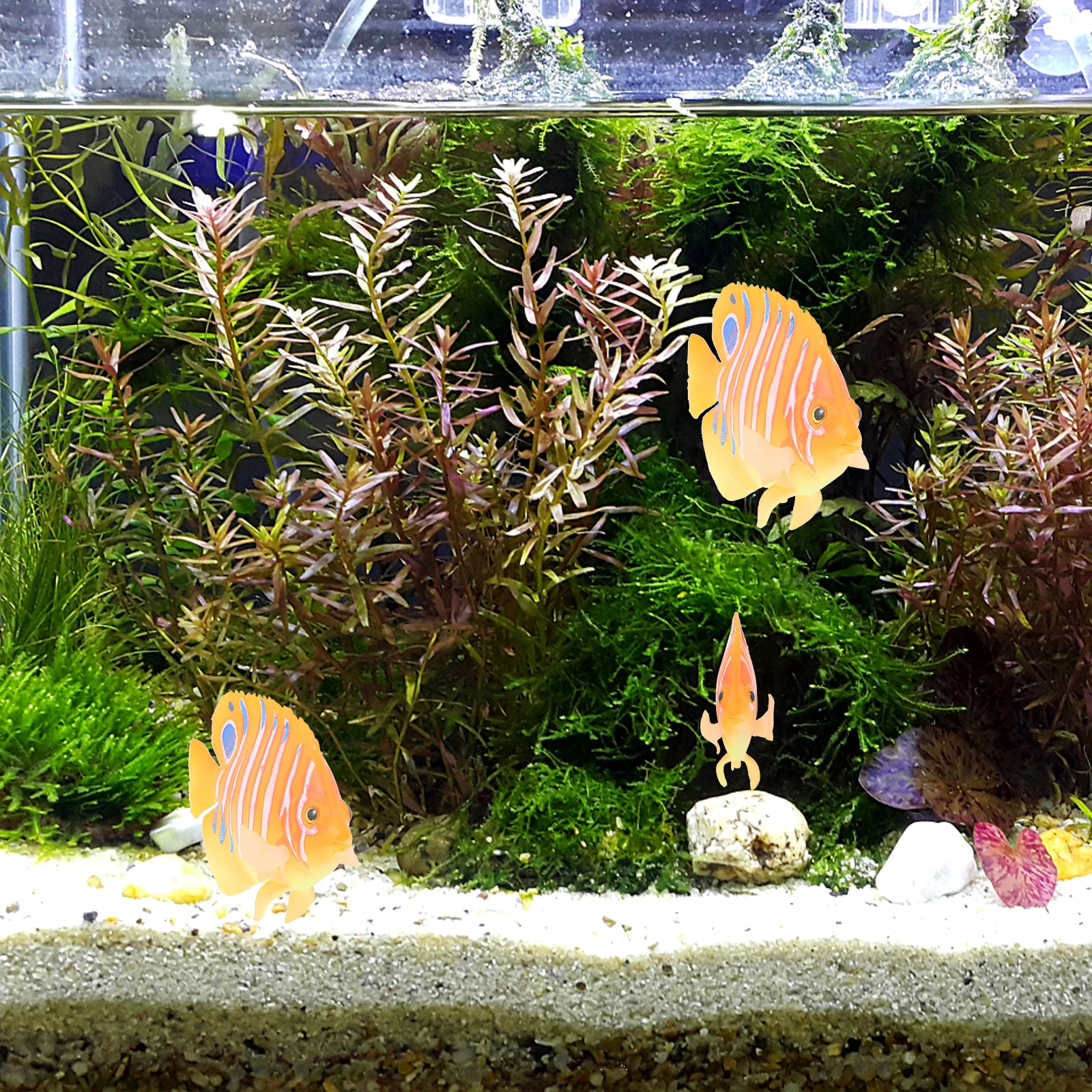 Plastic Simulation Fish Decoration for Aquarium Tank Realistic Artificial Tropical Ornament Pet Supplies Decorative
Plastic Simulation Fish Decoration for Aquarium Tank Realistic Artificial Tropical Ornament Pet Supplies Decorative
