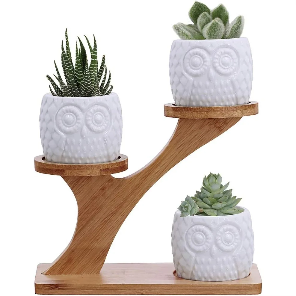 3pcs Owl Succulent Pots with 3 Tier Bamboo Saucers Stand Holder - White Ceramic Flower Planter with Drainage for Home Office
3pcs Owl Succulent Pots with 3 Tier Bamboo Saucers Stand Holder - White Ceramic Flower Planter with Drainage for Home Office