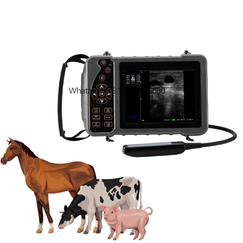 THR-V51A Fully Digital Handheld Veterinary Ultrasound Diagnostic System Portable Ultrasound Machine
THR-V51A Fully Digital Handheld Veterinary Ultrasound Diagnostic System Portable Ultrasound Machine