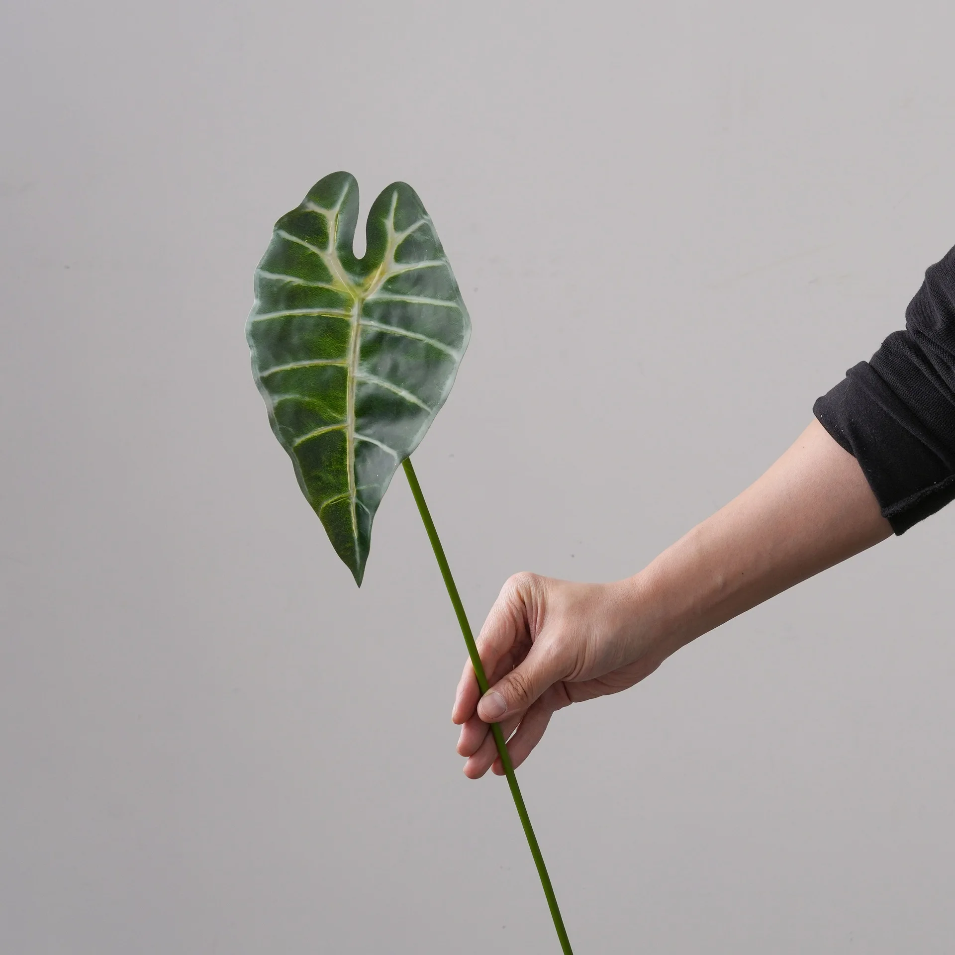 5Pc Artificial Guanyin Lotus Leaf Plants Wedding Decor Background Floral Accessories Fake Palm Leaves Party Home Room Decoration
5Pc Artificial Guanyin Lotus Leaf Plants Wedding Decor Background Floral Accessories Fake Palm Leaves Party Home Room Decoration