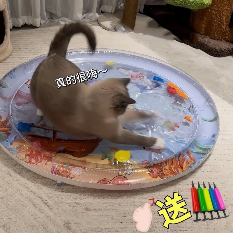 Pet Water Injection Ice Mat Summer Pet Nest Cat Nest Dog Nest Large Size Ice Nest Fun Cooling Ice Mat Water Bed
Pet Water Injection Ice Mat Summer Pet Nest Cat Nest Dog Nest Large Size Ice Nest Fun Cooling Ice Mat Water Bed