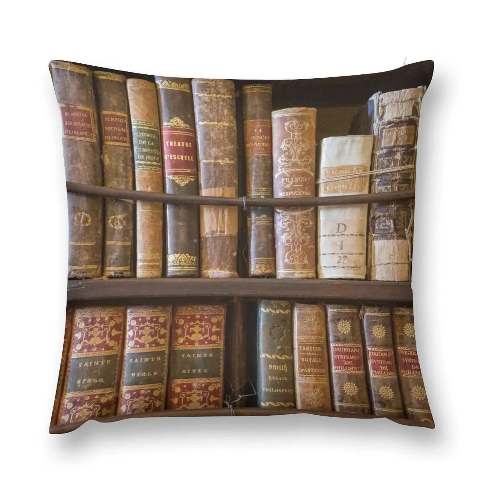 Old books on shelf Throw Pillow Sofa Cushions Sofa Decorative Covers Pillowcases For Pillows pillow
Old books on shelf Throw Pillow Sofa Cushions Sofa Decorative Covers Pillowcases For Pillows pillow