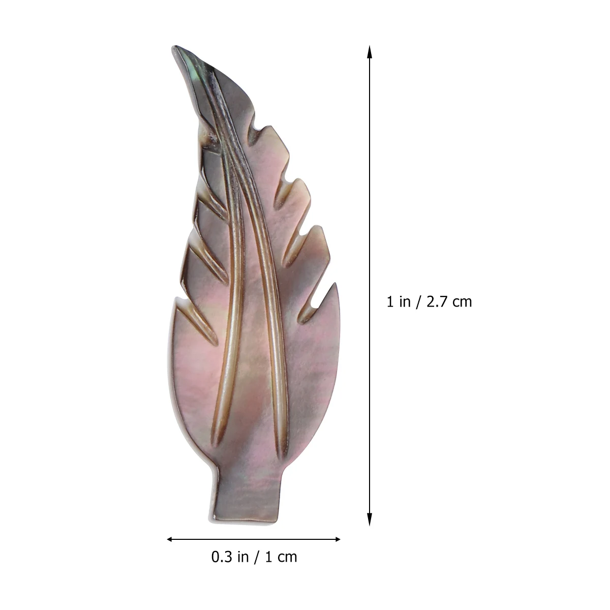 10 Pcs Shell Jewelry Accessories Durable Lightweight Pendant Necklace Parts Earrings Key Chain Leaves Design Sea Shells Colorful
10 Pcs Shell Jewelry Accessories Durable Lightweight Pendant Necklace Parts Earrings Key Chain Leaves Design Sea Shells Colorful